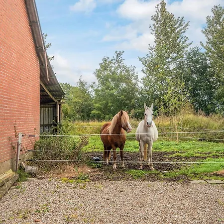 6 Person In Грам